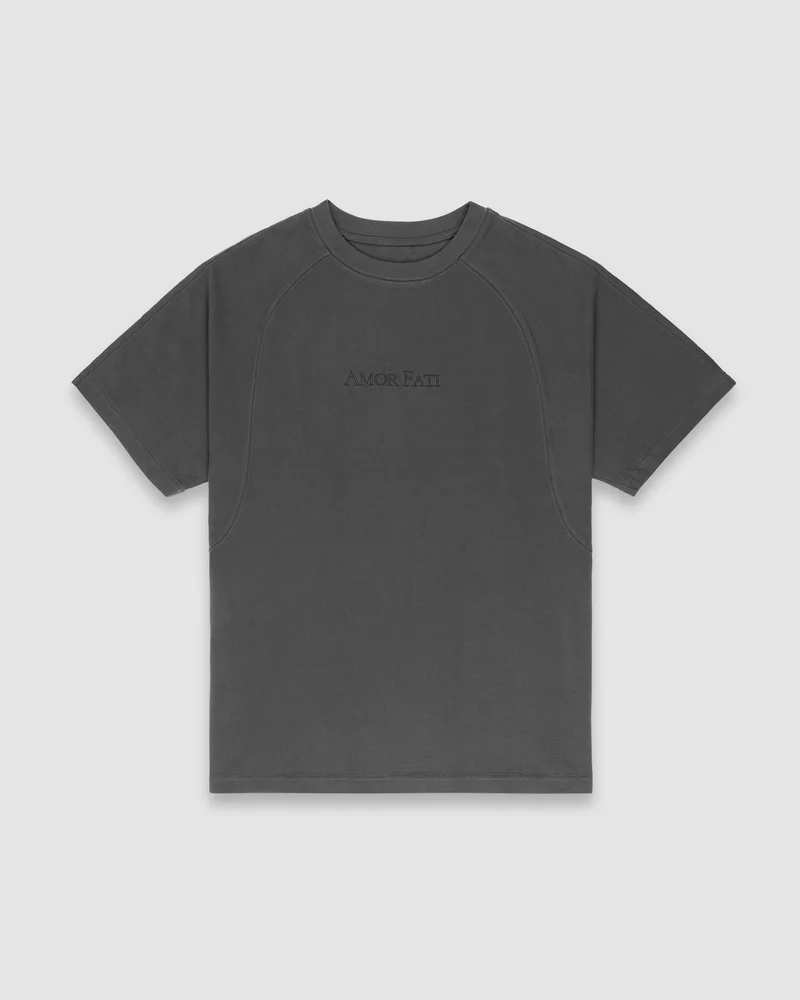amor fati t-shirt, grey